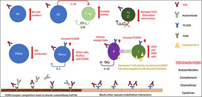 Antibodies and Immunity During Kawasaki Disease